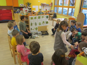 Poimenovanje gozdnih dreves, plodov (2)