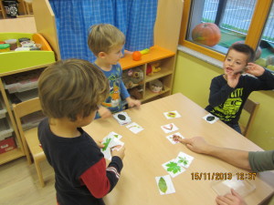 Poišči plod in list (1)