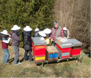 Poskušali smo naše čebelje pridelke