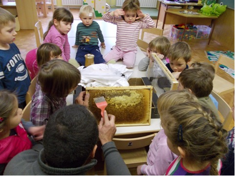 Postrgal je med s panja.