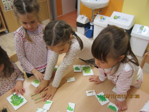 Sestavi drevo, plod in list (5)