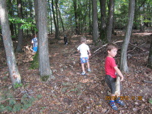 Sprehod na debeli hrib, igra na robu gozda (1)