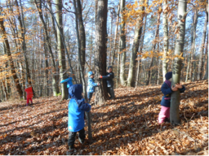 drevesa so različno debela