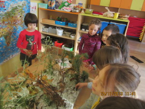 izdelovanje gozda (4)