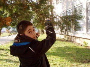 poiskali smo najboljše veje