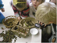 raziskujemo s povečevalnim steklom