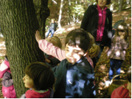 spoznavali smo drevesna lubja