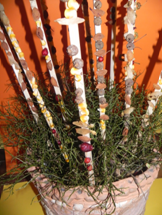 zaporedja so presenetila